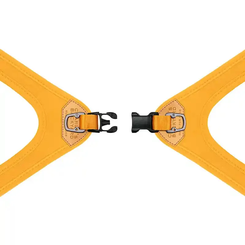 Buckle-up Easy Dog Harness (Not Adjustable)