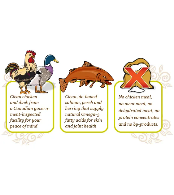 Carna4 Quick Baked Air Dried Dry Dog Food (Chicken)
