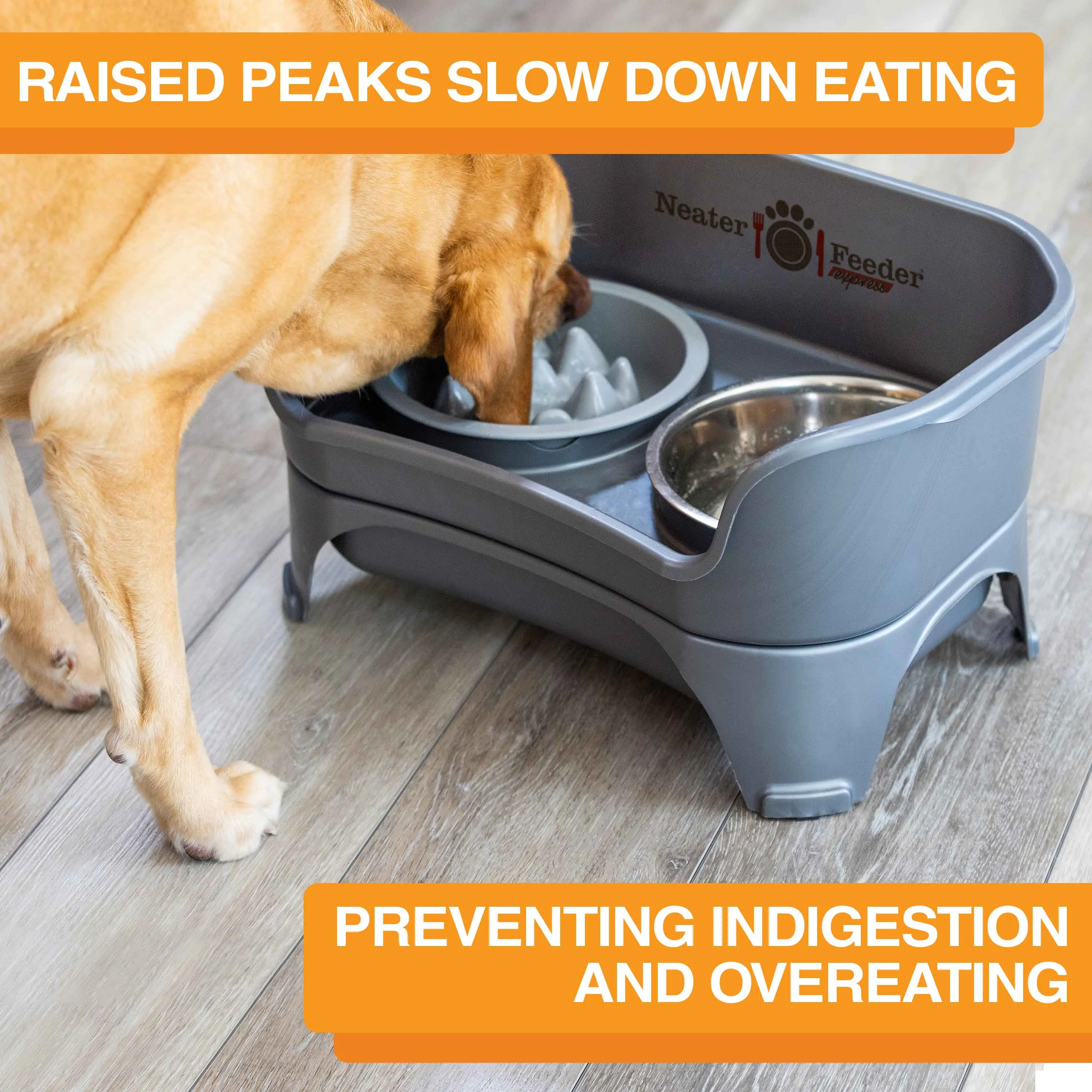 DELUXE Neater Feeder with The Niner Slow Feed Bowl