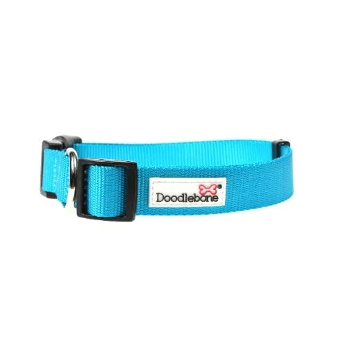 Doodlebone Dog Collar Aqua Size 6-11