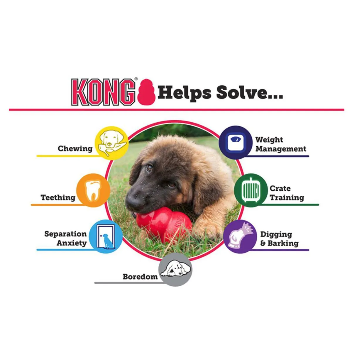 Kong® Senior Treat Dispenser