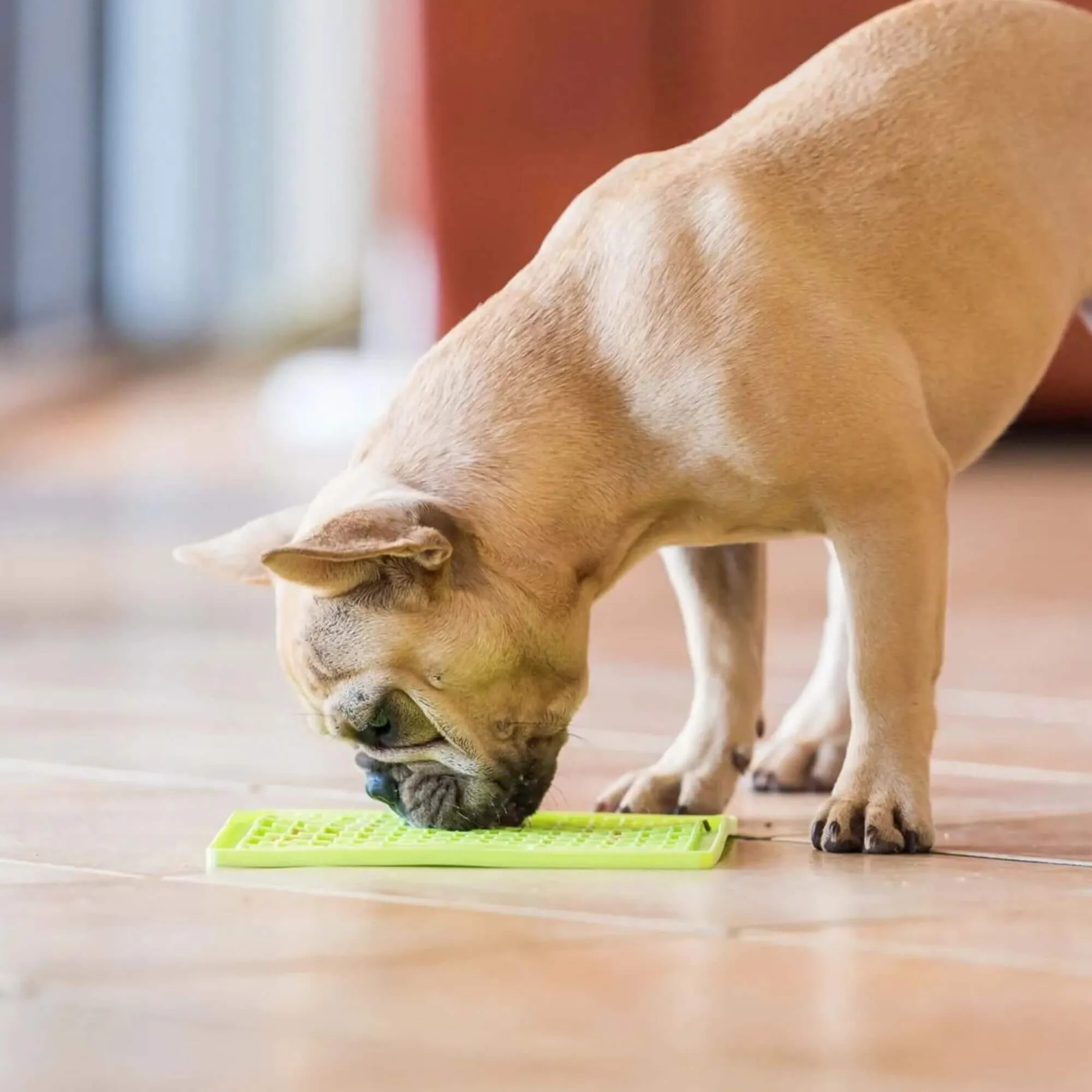 LickiMat Classic Soother Slow Feeder Mat for Dogs