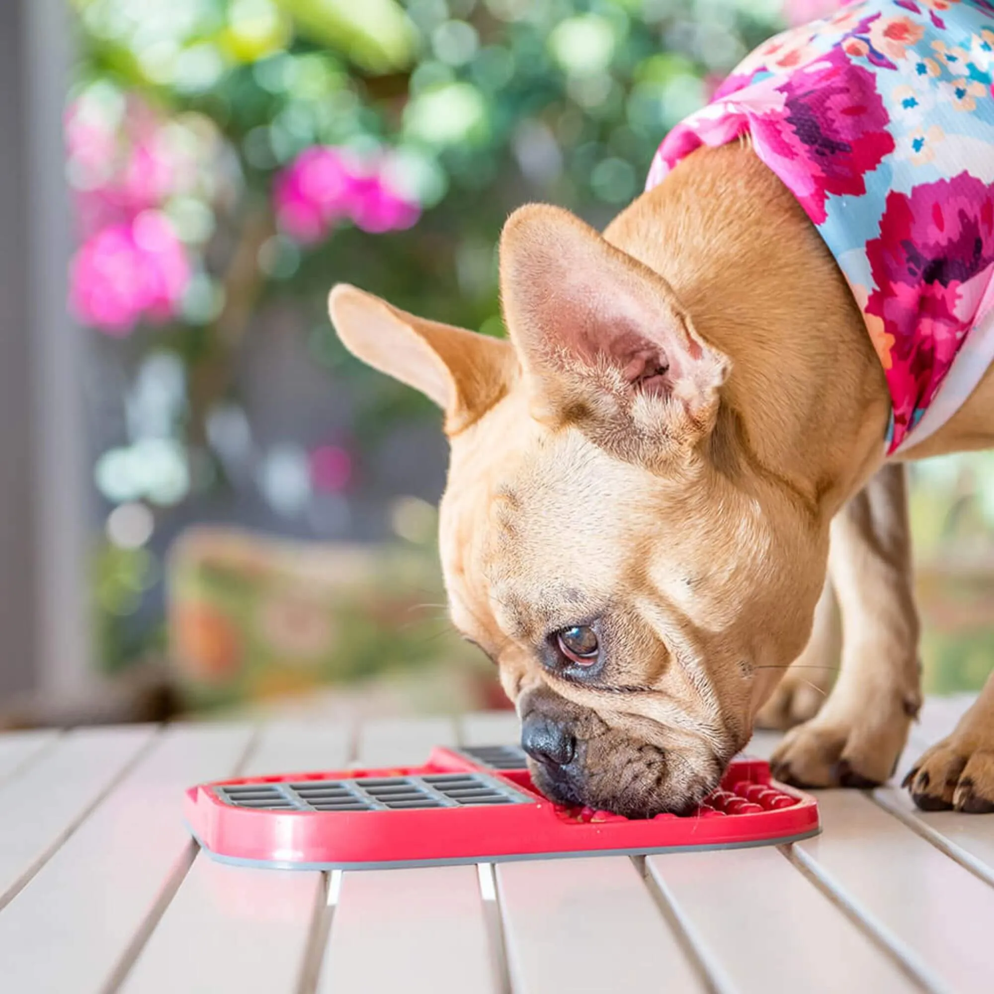LickiMat Slomo Combo Slow Feeder for Dogs