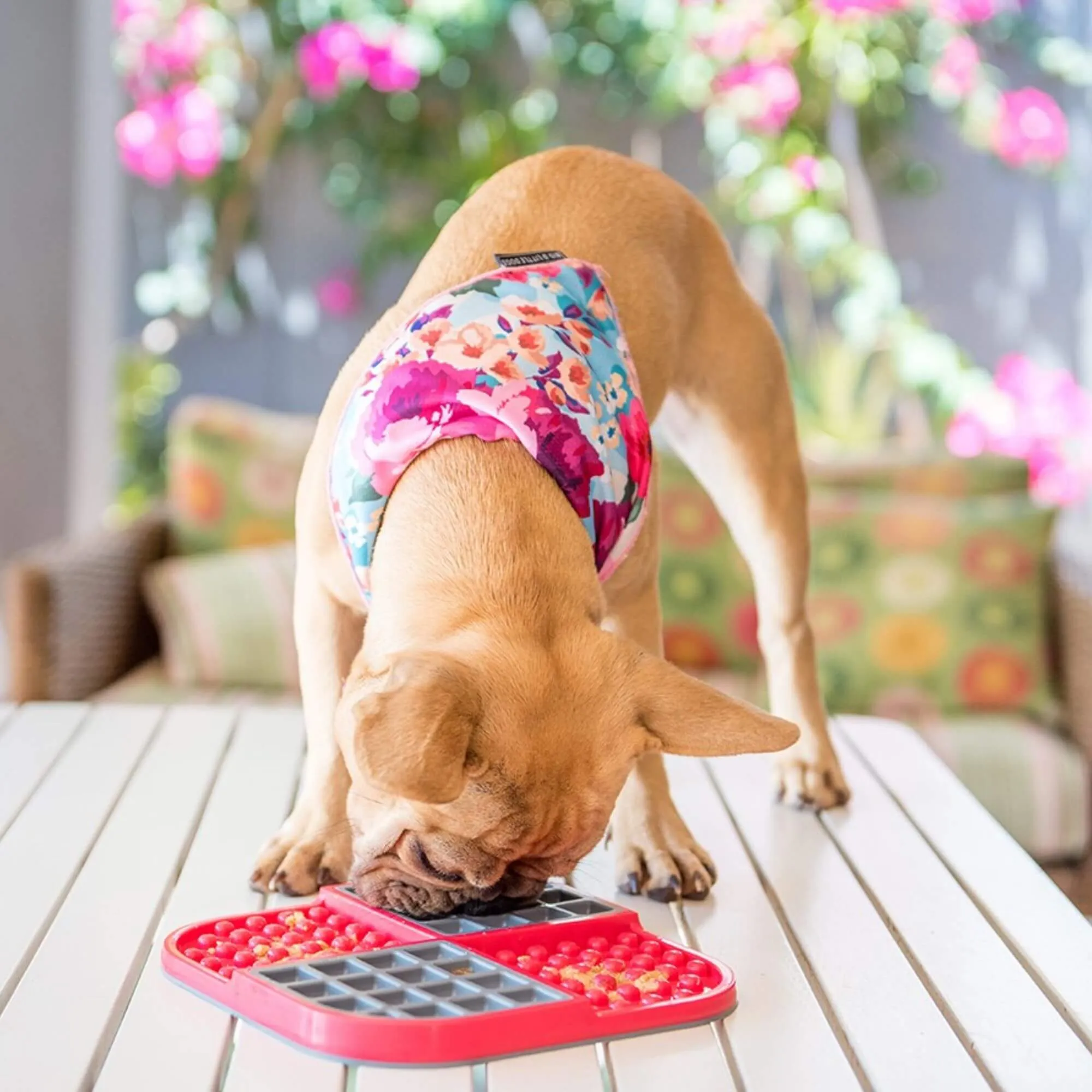 LickiMat Slomo Combo Slow Feeder for Dogs