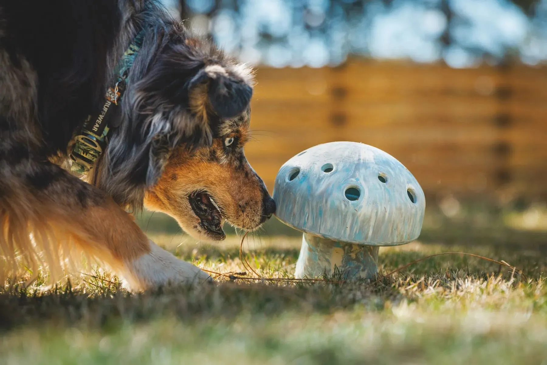 Ruffwear Porcini™ Chew Resistant Slow Feeding Dog Toy (Moss Green)