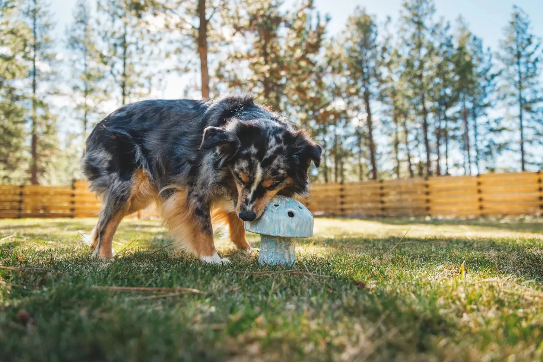 Ruffwear Porcini™ Chew Resistant Slow Feeding Dog Toy (Moss Green)