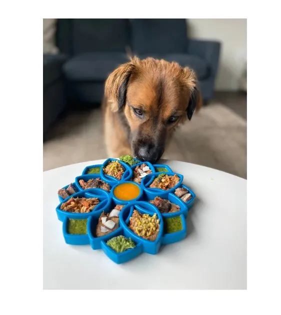 SodaPup Enrichment Feeding Tray For Dogs (Blue Mandala)