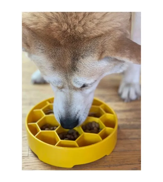 SodaPup Enrichment Slow Feeder Bowl For Dogs (Round / Yellow Honeycomb)