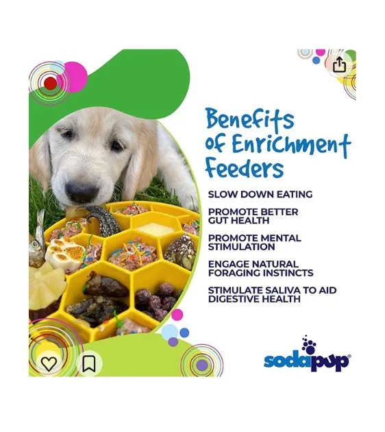SodaPup Enrichment Slow Feeder Bowl For Dogs (Round / Yellow Honeycomb)